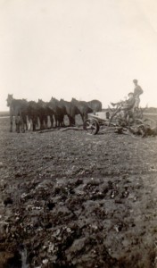 Mel's brothers with a horse team and plough
