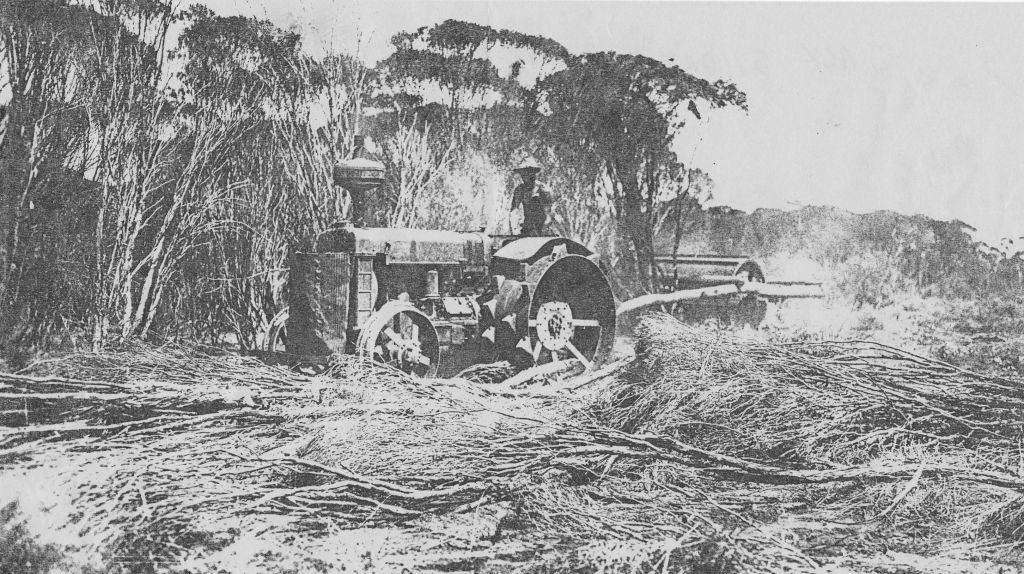Jack Short scrub rolling on Kooyong Tenindewa 1930s